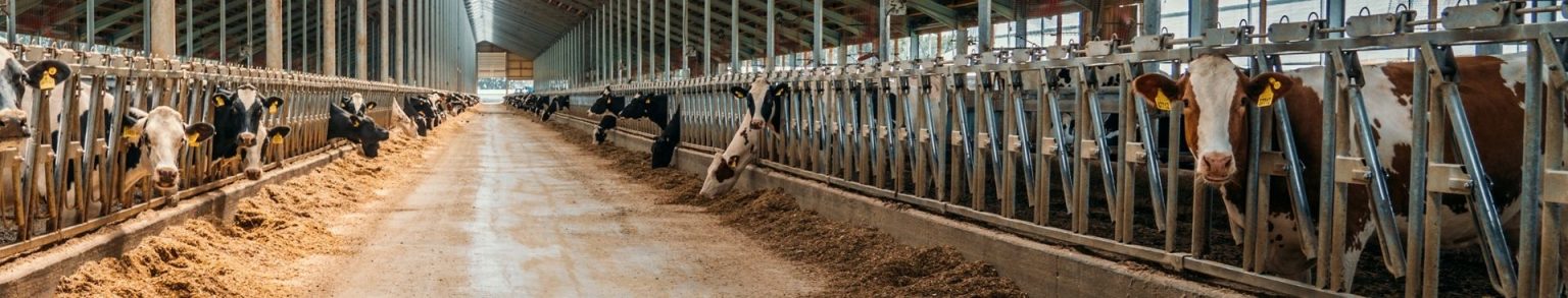 Annual Barn And Livestock Building Maintenance Rural Mutual Insurance