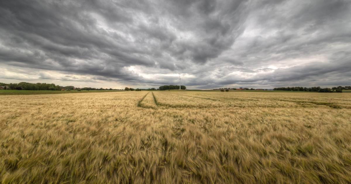 what-is-crop-hail-insurance-and-what-does-it-cover